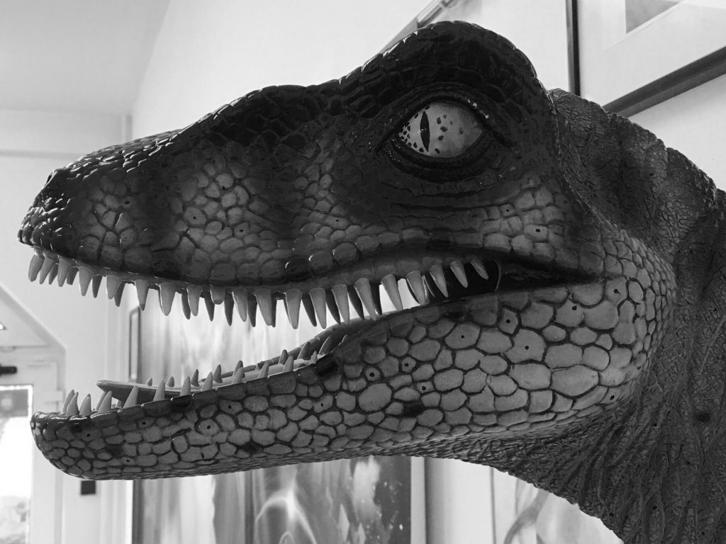 Velociraptor