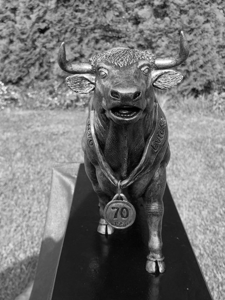 Bullock
